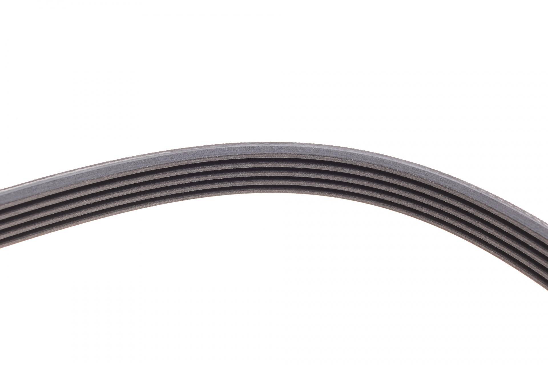 Ремінь генератора Opel Zafira/Astra 1.6/1.8 05-15/Fiat 1.6/1.8 05-/Chevrolet Orlando 1.8 11-