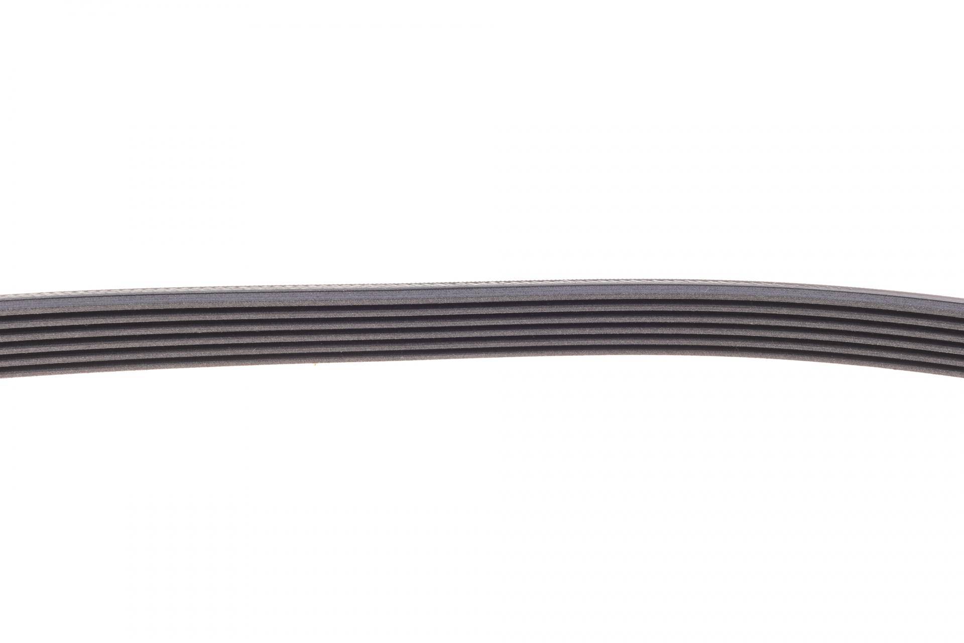 Ремінь генератора Renault Kangoo/Logan/Scenic/Talisman 1.4/1.5 dCi/1.6 03-/Mazda 3/CX-3 1.5/1.8D 15-