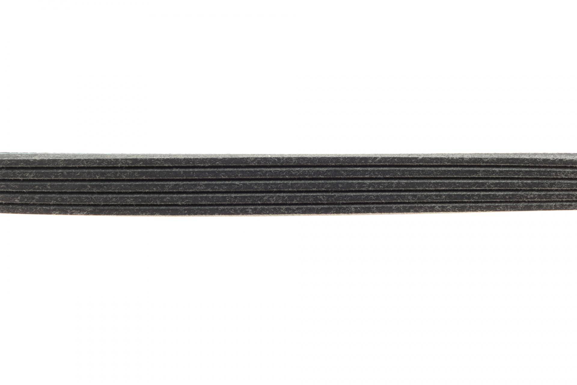 Ремінь генератора Renault Kangoo 1.2i 97-/Subaru Impreza 2.0 05-07/Nissan Pathfinder 4.0 05- (5PK875)