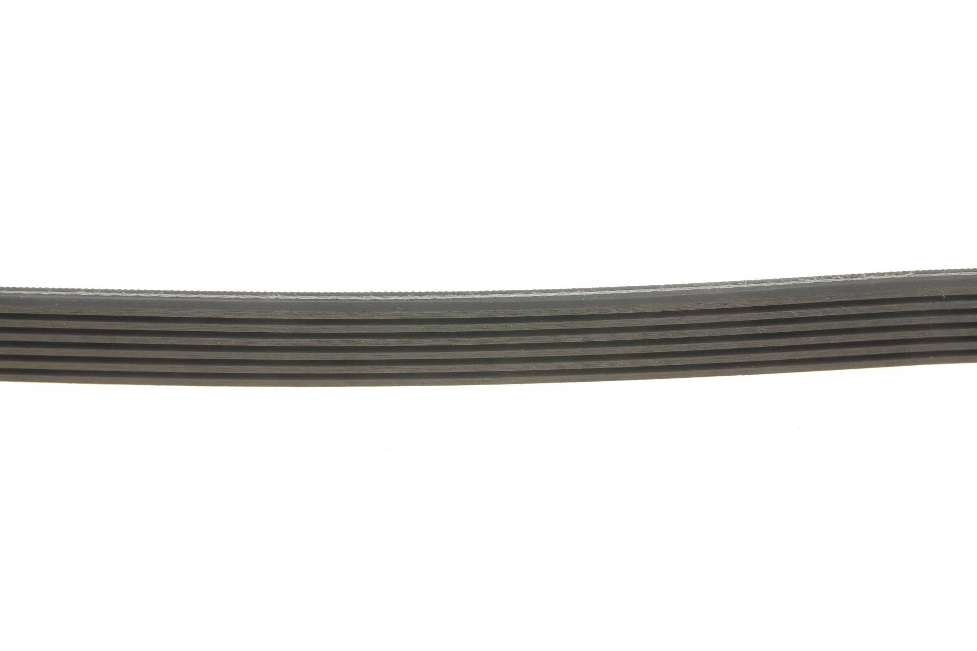 Ремінь генератора VW LT 2.5TDI 96-01/Peugeot Expert 1.9D/2.0HDI 98-