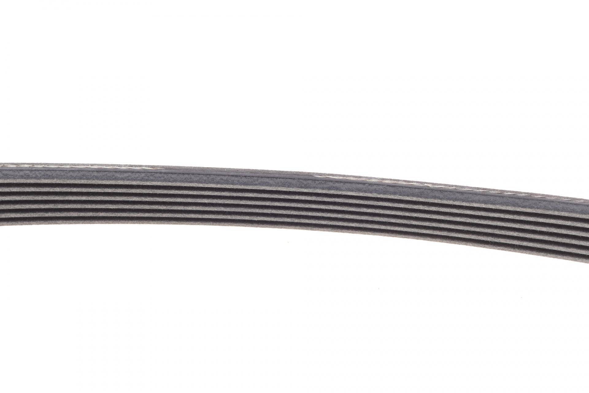 Ремінь генератора VW Polo/Up 11-/Skoda Fabia 14-/Seat Ibiza 1.0/1.6 15-