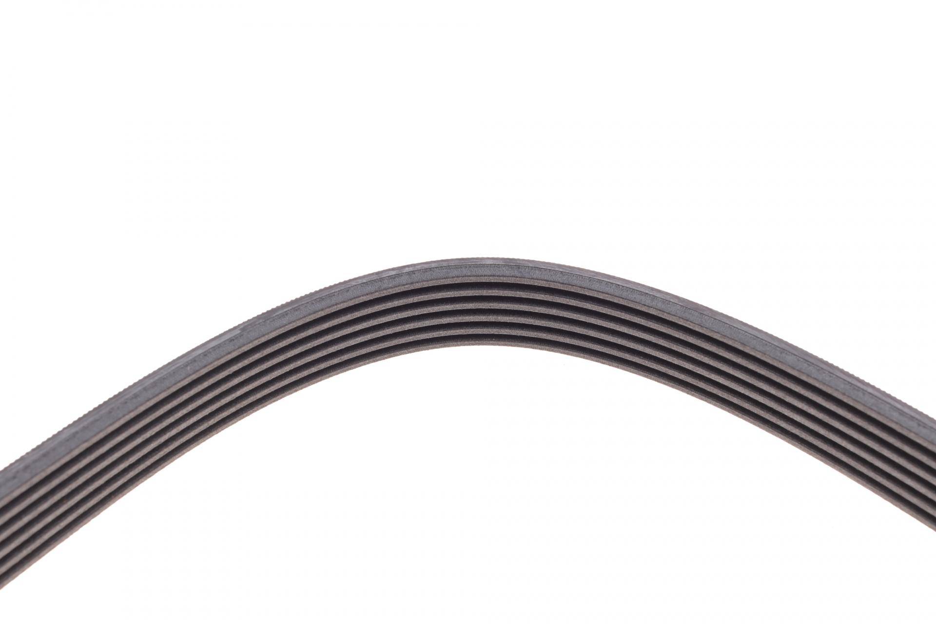 Ремінь генератора VW Golf 1.6FSI 02-06/BMW 3 (E46)/5 (E39/E60) 2.0-3.0 97-10/Ford Focus/Kuga 1.5 14-