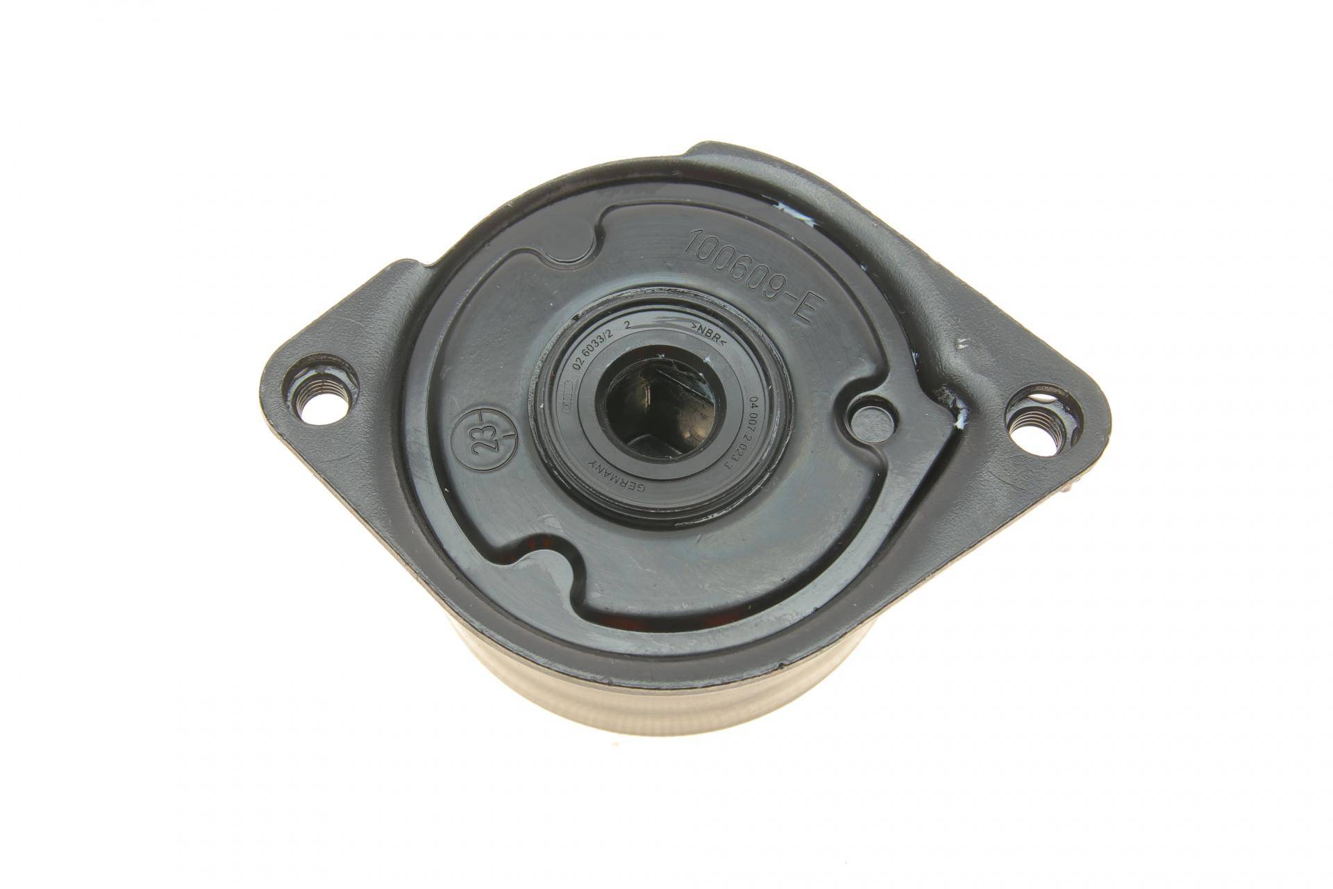 Натяжник ременя генератора BMW 3 (E46) 3.0D 99-, M57 D25/D30