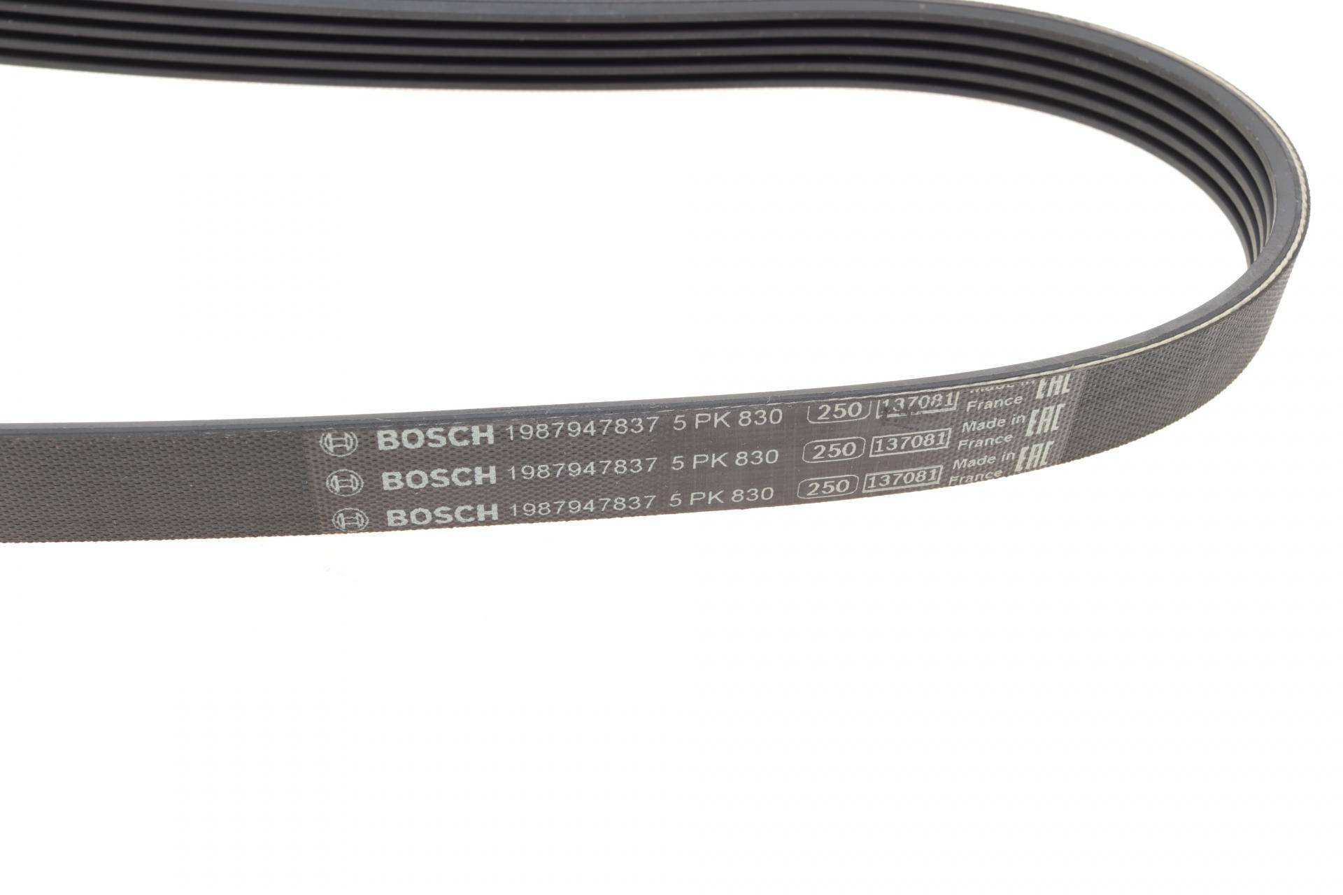 Ремінь генератора Opel Omega B 2.5DTI 01-03 (5PK830)