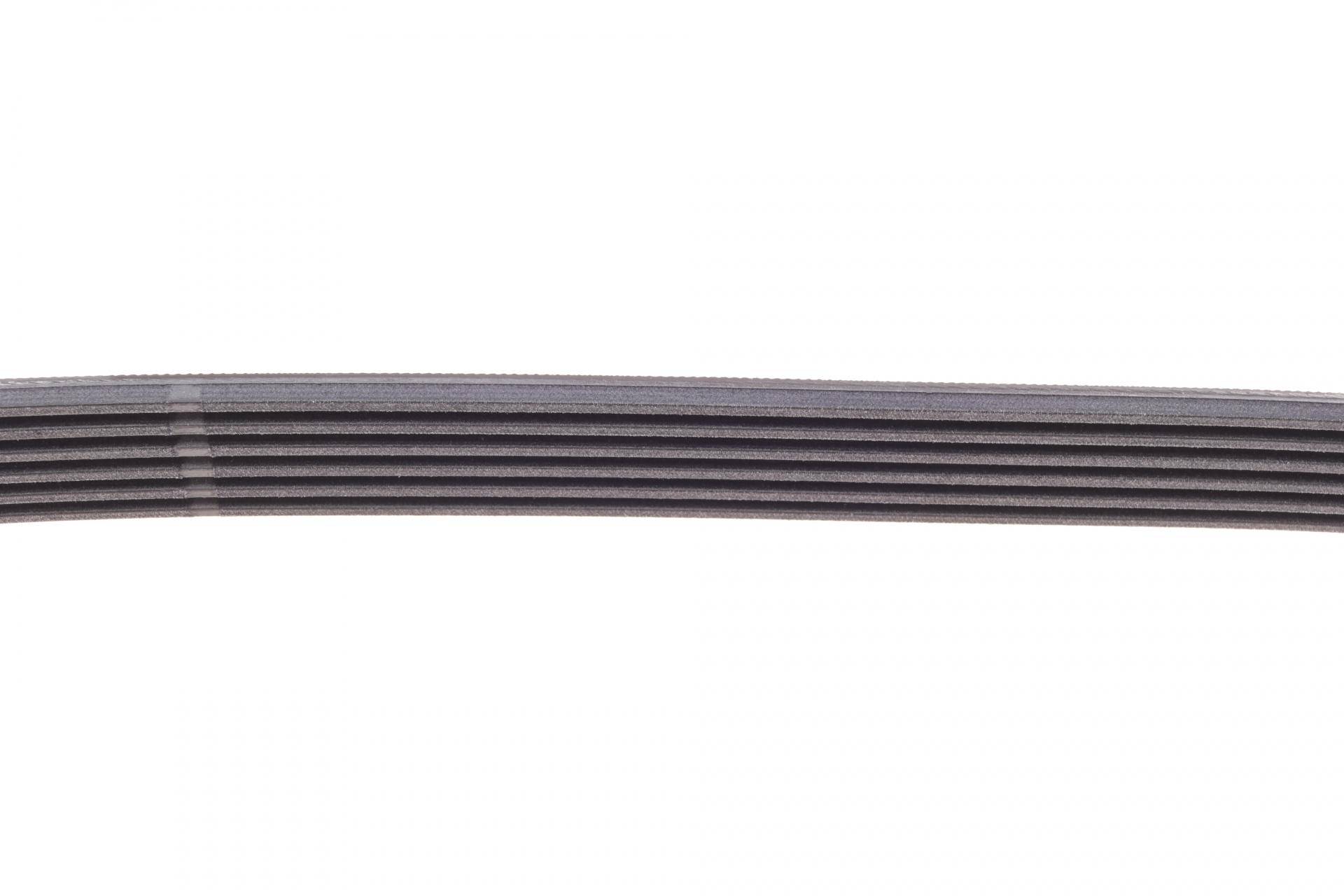 Ремінь генератора Opel Movano 2.5D 98-00/Peugeot Boxer/Citroen Jumper 2.0/2.2HDi 02-
