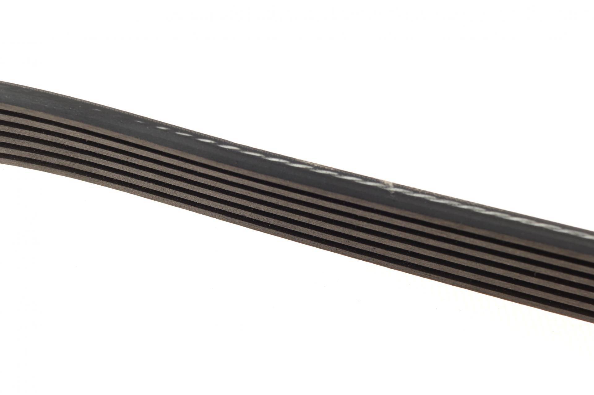 Ремінь генератора Fiat Scudo/Citroen Berlingo/VW Golf IV 1.8/1.9TDI 97- (6PK1660)