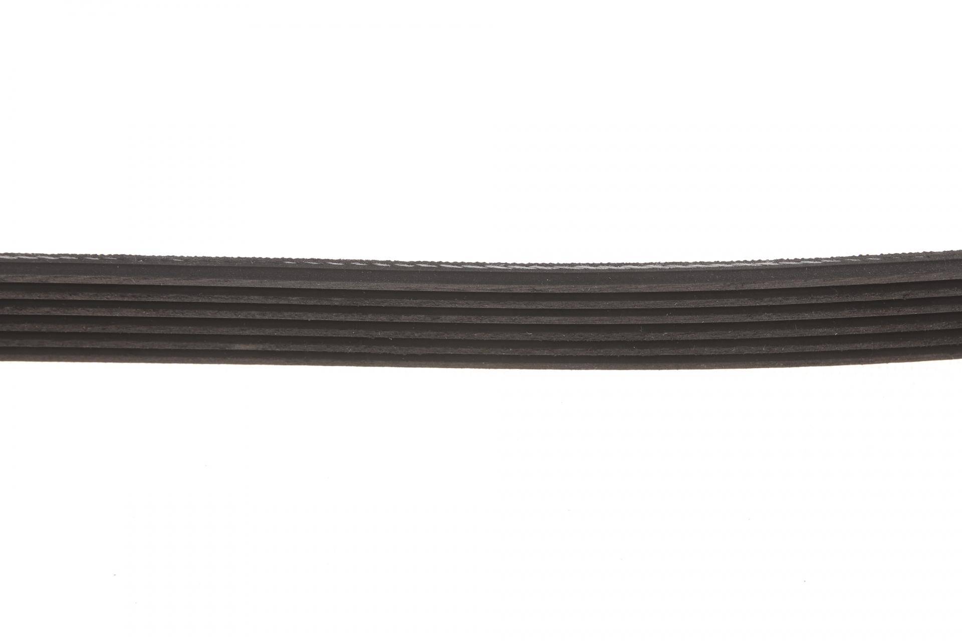 Ремінь генератора Citroen Jumper/Fiat Ducato/Peugeot Boxer 2.0/2.2HDi/JTD 02-