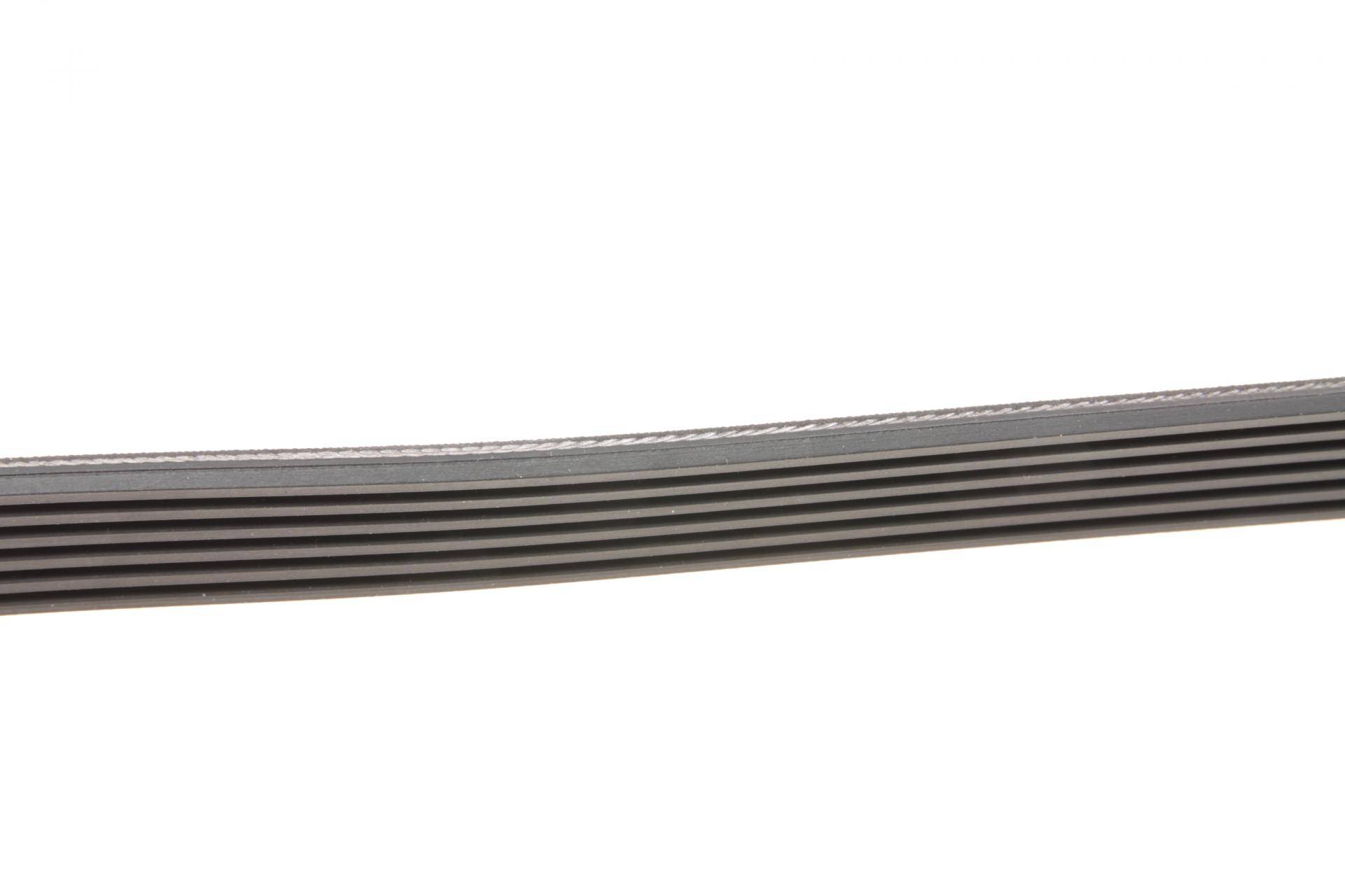 Ремінь генератора MB W211 55 AMG 02-08 (6PK2442)