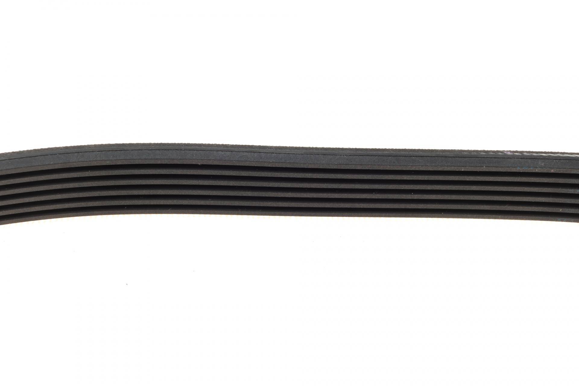 Ремінь генератора VW Caddy/Golf/Skoda Octavia 1.6/2.0 04-15/Fiat Ducato 2.5TDI 94-02/Scudo 1.6 96-06