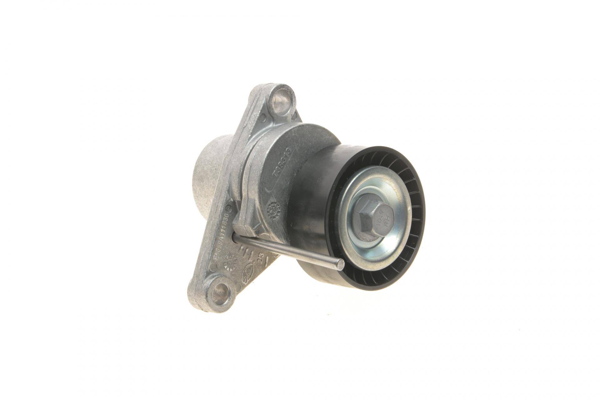 Натяжник ременя генератора Citroen C2/C3/C4/Peugeot 207/307 1.1-1.6 00-