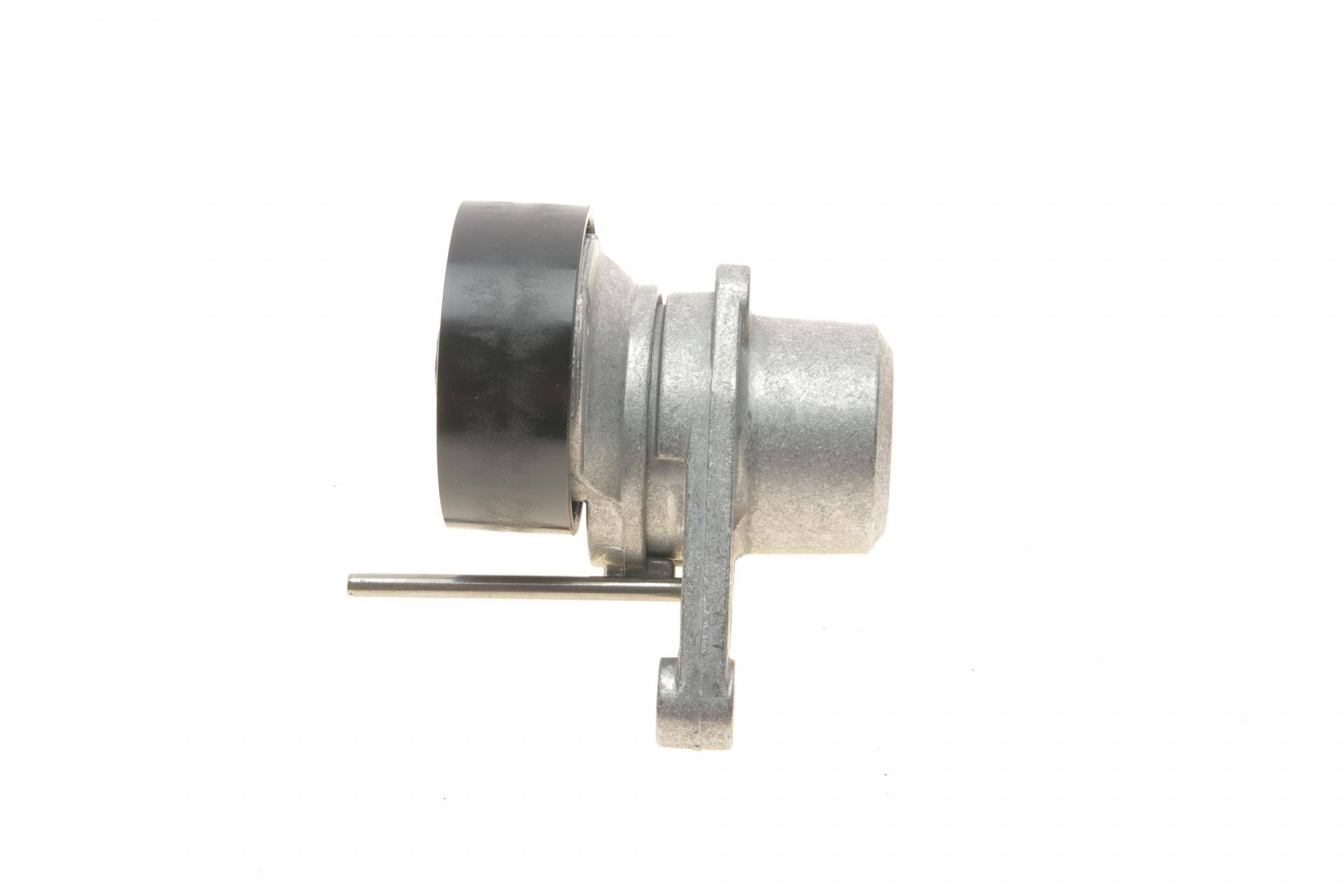 Натяжник ременя генератора Citroen C2/C3/C4/Peugeot 207/307 1.1-1.6 00-
