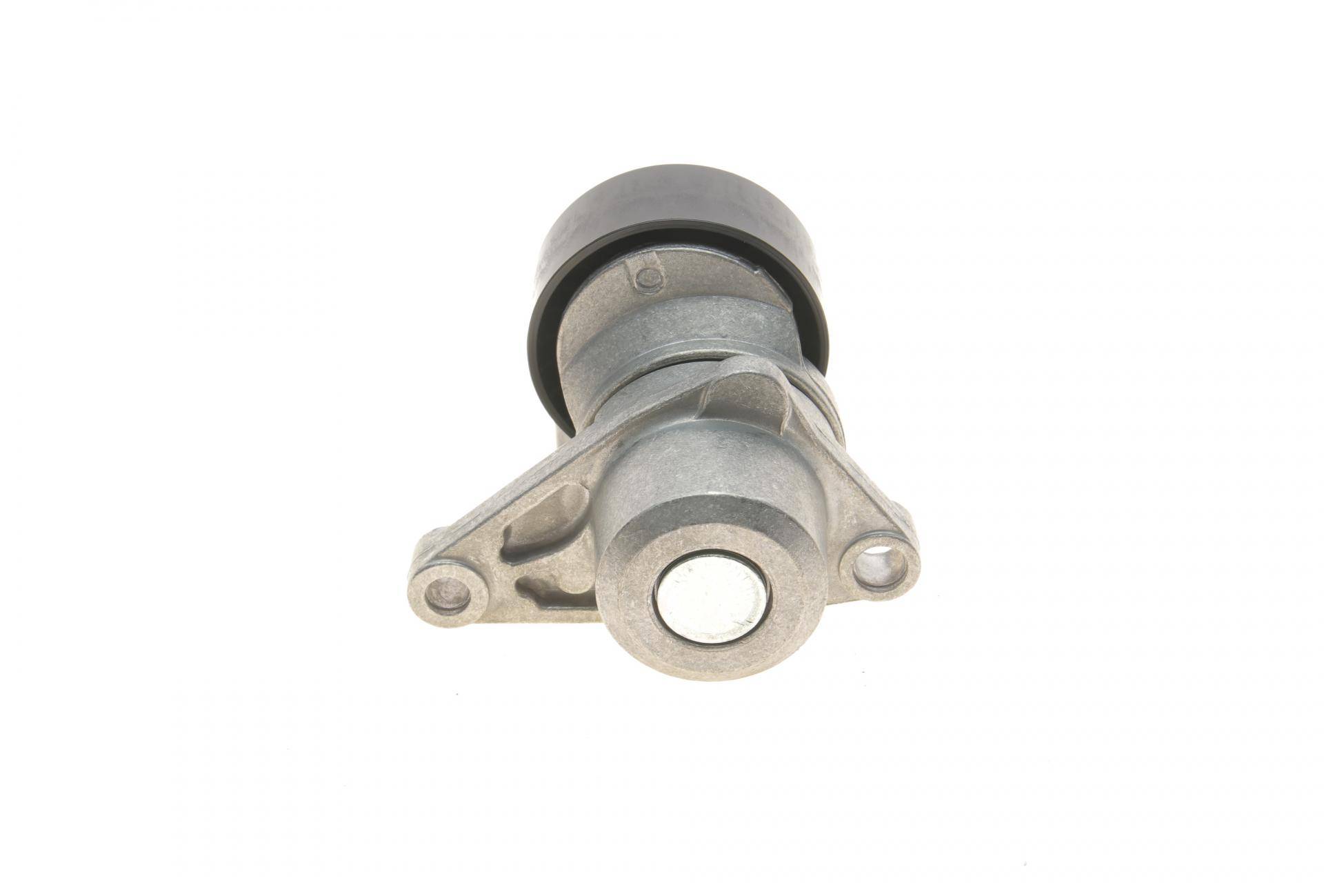 Натяжник ременя генератора Citroen C2/C3/C4/Peugeot 207/307 1.1-1.6 00-
