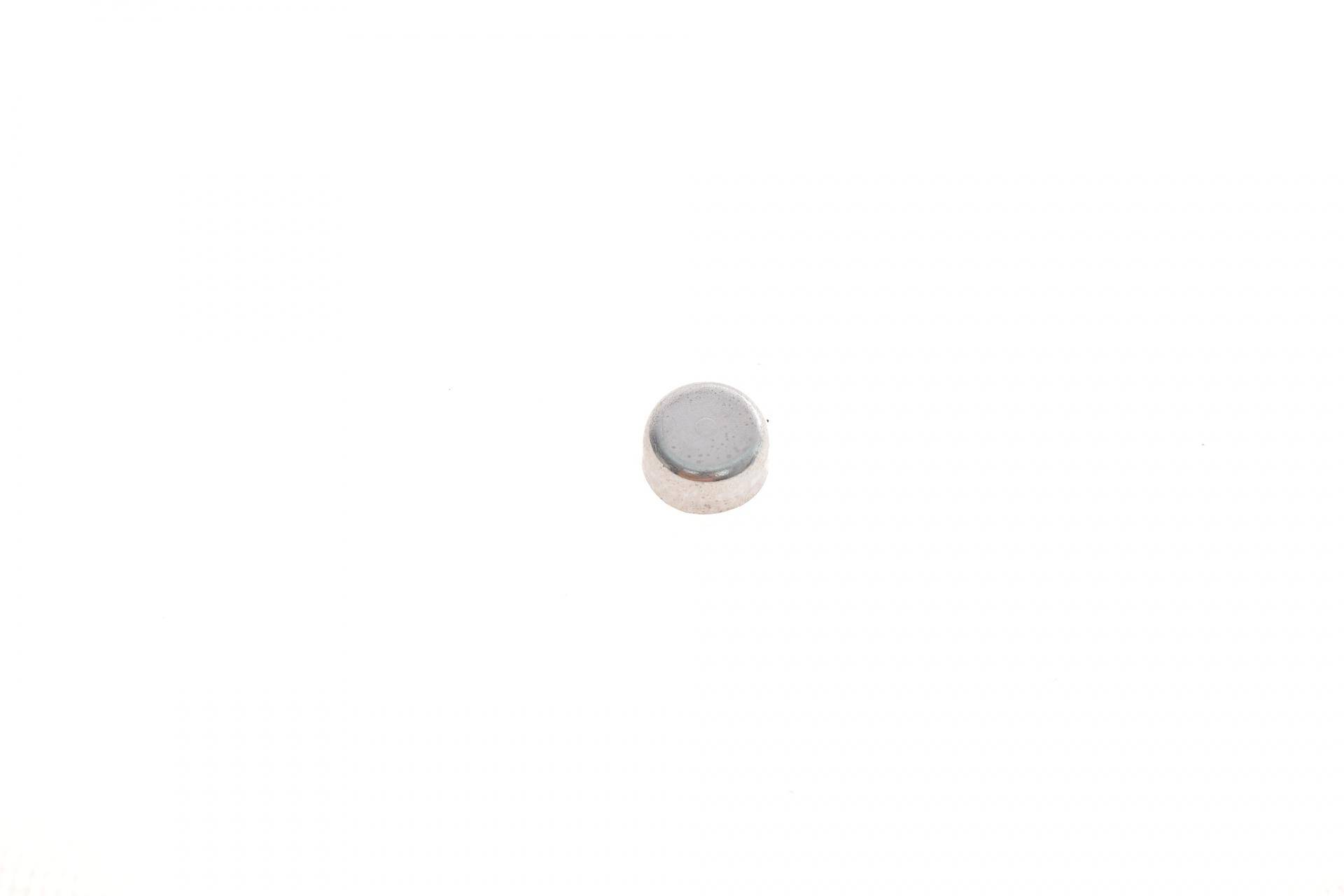 Заглушка блоку циліндрів Renault Kangoo/Traffic/Laguna/Clio/Duster (14.4mm)