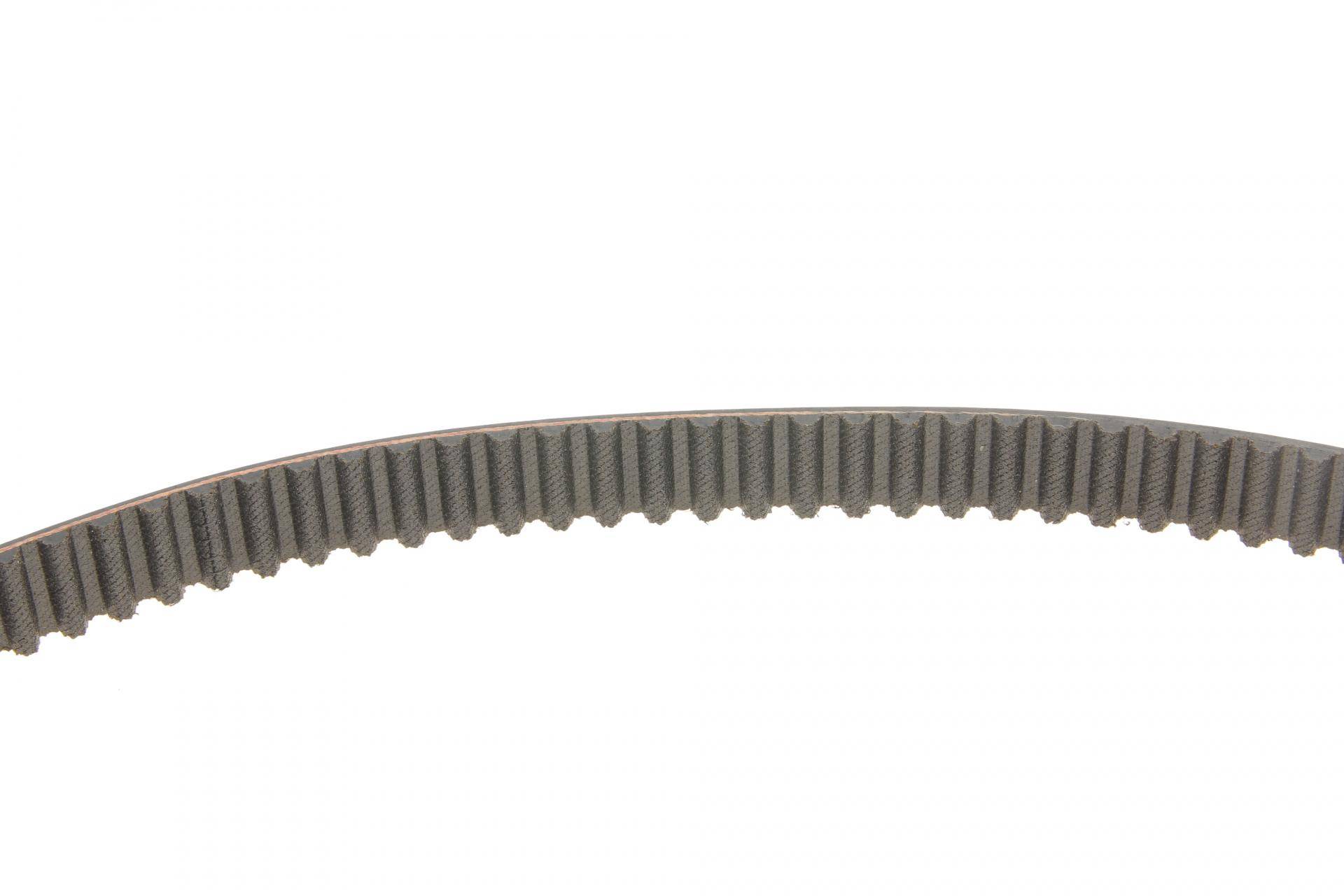 Комплект ГРМ + помпа VW Caddy/Golf/Seat Ibiza/Skoda Octavia 1.6 92-04 (19x137z)