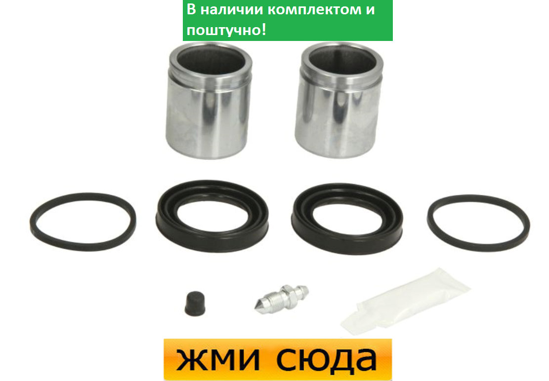 Ремкомплект супорта (переднього) Ford Transit 06- (d=48 мм) (+2 поршня) (Bosch)